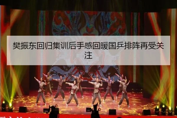 樊振东回归集训后手感回暖国乒排阵再受关注